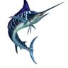 Espadon fougueux's profile picture