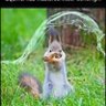 Фото профиля Theresa Wilkinson