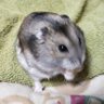 みや 的头像