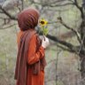 Фото профиля Alaa Abdelhady