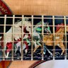 Charis lover. 🎸 profil fotoğrafı