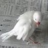 つん profil fotoğrafı