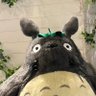 范文宙's profile picture