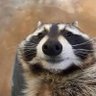 Profilbild von 憂鬱