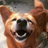 JEIK profil fotoğrafı
