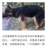 更是世界级 的头像