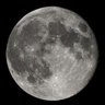Profilbild von Cat-Moon
