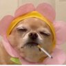 BtoB7's profile picture