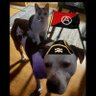 Radical SawMiller's profile picture