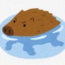 Profilbild von InosukeStar