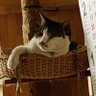 K一郎 (strnote.comの中の人) profil fotoğrafı