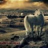 فاطمة محمد 的头像