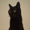 Kuniko's profile picture