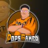 Popsgamer08 profil fotoğrafı
