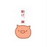 大盛り食べ放題禁止's profile picture