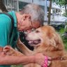 Profilbild von Reginaldo Ribeiro Adestrador de Cães Rio