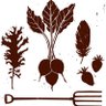 LOVE FARM CSA ~ 🐝☮️🌱 profil fotoğrafı