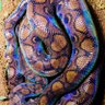 Фото профиля daniel davey