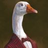 skipio's profile picture