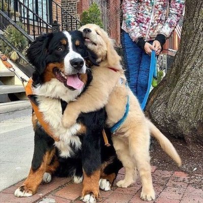AlexMatthews74's profile picture