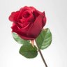 Rosie 🇬🇧🇬🇧🇬🇧's profile picture