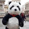 Paolo San's profile picture