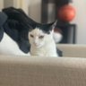PG profil fotoğrafı
