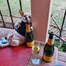 Solei's profile picture