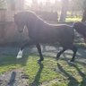 BCSherri profil fotoğrafı