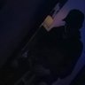 Tyler | Tstock 📸 profil fotoğrafı