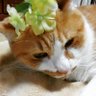 翠 profil fotoğrafı