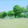 miyuma 的头像