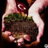 osman bektaş 的头像