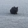 Riki/力 profil fotoğrafı