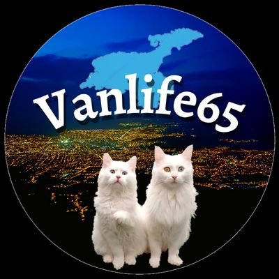Vanlife65's profile picture
