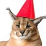 cannor's profile picture