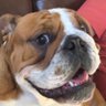 Profilbild von Gary
