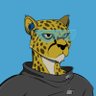 DeFi Cheetah - e/acc's profile picture