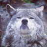 А ти шо?'s profile picture