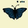 Reem Bsheer's profile picture