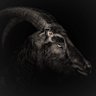 Philsee 13's profile picture