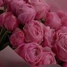 ليلاس الابراهيم's profile picture