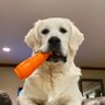 Benson Boomer's profile picture