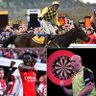 The Punters Eye 的头像