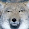こば。@撮影会おじさん🐾秋野家 profil fotoğrafı