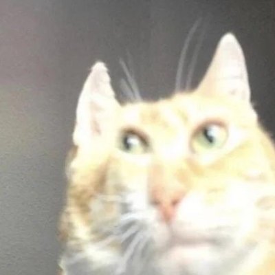 Sano_VR's profile picture