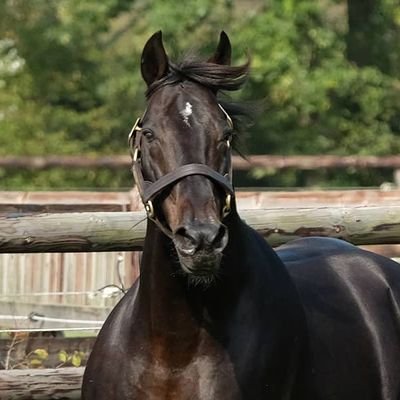 TBM20_17's profile picture