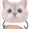 Profilbild von naay
