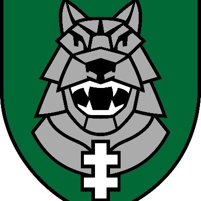 nerimstantis's profile picture