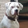 Profilbild von IsidoroK